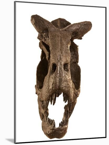 At the Museo Argentino De Ciencias Naturales in Buenos Aires, a Cast of the Skull of Carnotaurus.-Ira Block-Mounted Giclee Print