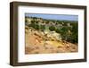 At the Ojito Wilderness Area, New Mexico-Martina Roth Kunst-Foto-Design-Framed Photographic Print