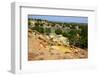 At the Ojito Wilderness Area, New Mexico-Martina Roth Kunst-Foto-Design-Framed Photographic Print