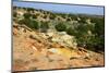 At the Ojito Wilderness Area, New Mexico-Martina Roth Kunst-Foto-Design-Mounted Photographic Print