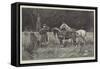 At the Rendezvous, a Cruel Hoax-George L. Seymour-Framed Stretched Canvas