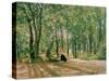 At the Summer Cottage, 1894-Ivan Ivanovitch Shishkin-Stretched Canvas