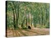 At the Summer Cottage, 1894-Ivan Ivanovitch Shishkin-Stretched Canvas