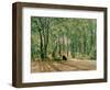 At the Summer Cottage, 1894-Ivan Ivanovitch Shishkin-Framed Giclee Print