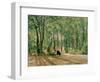 At the Summer Cottage, 1894-Ivan Ivanovitch Shishkin-Framed Giclee Print