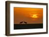 At The Sunset-Jun Zuo-Framed Photographic Print