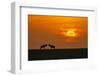 At The Sunset-Jun Zuo-Framed Photographic Print