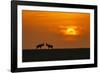 At The Sunset-Jun Zuo-Framed Photographic Print