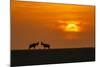 At The Sunset-Jun Zuo-Mounted Photographic Print