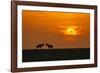 At The Sunset-Jun Zuo-Framed Photographic Print