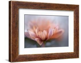 At the tip lll-Heidi Westum-Framed Photographic Print