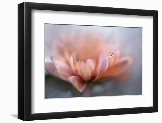 At the tip lll-Heidi Westum-Framed Photographic Print