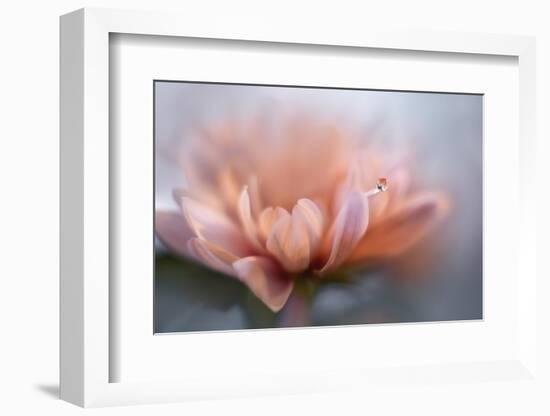 At the tip lll-Heidi Westum-Framed Photographic Print