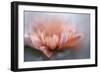 At the tip lll-Heidi Westum-Framed Photographic Print