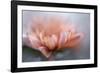 At the tip lll-Heidi Westum-Framed Photographic Print