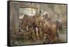 At the Village Pump-Charles James Adams-Framed Stretched Canvas