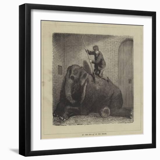 At the Zoo, 93° in the Shade-null-Framed Giclee Print