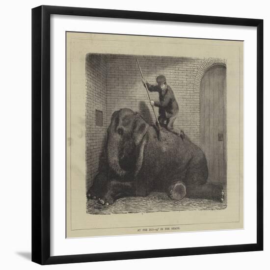 At the Zoo, 93° in the Shade-null-Framed Giclee Print