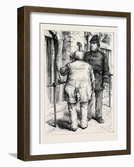 At the Zoological Society's Gardens in London: Pachydermatous or Thick-Skinned Animals 1880-null-Framed Giclee Print