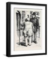 At the Zoological Society's Gardens in London: Pachydermatous or Thick-Skinned Animals 1880-null-Framed Giclee Print