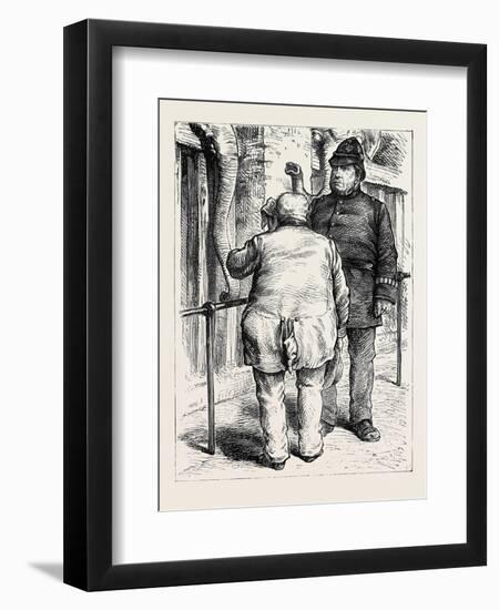 At the Zoological Society's Gardens in London: Pachydermatous or Thick-Skinned Animals 1880-null-Framed Premium Giclee Print