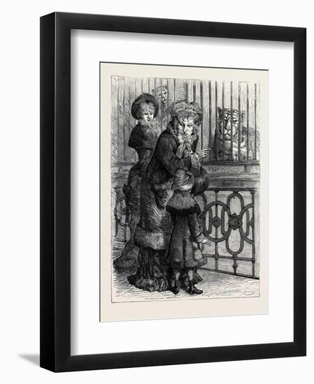 At the Zoological Society's Gardens in London: the Cat Family 1880-null-Framed Premium Giclee Print