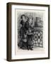 At the Zoological Society's Gardens in London: the Cat Family 1880-null-Framed Giclee Print