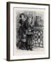 At the Zoological Society's Gardens in London: the Cat Family 1880-null-Framed Giclee Print