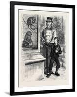 At the Zoological Society's Gardens in London: the Monkeys 1880-null-Framed Giclee Print