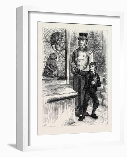 At the Zoological Society's Gardens in London: the Monkeys 1880-null-Framed Giclee Print