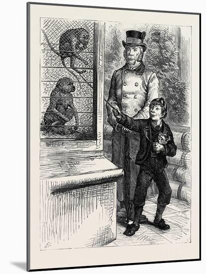 At the Zoological Society's Gardens in London: the Monkeys 1880-null-Mounted Giclee Print