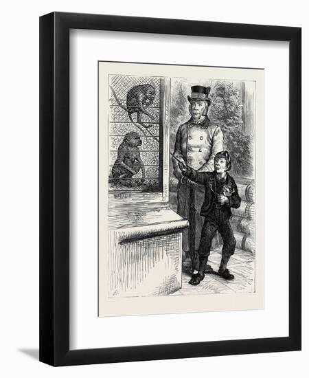 At the Zoological Society's Gardens in London: the Monkeys 1880-null-Framed Premium Giclee Print