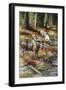 At Water's Edge-Trevor V. Swanson-Framed Giclee Print