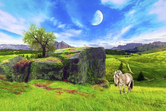Giclee Print, , large
