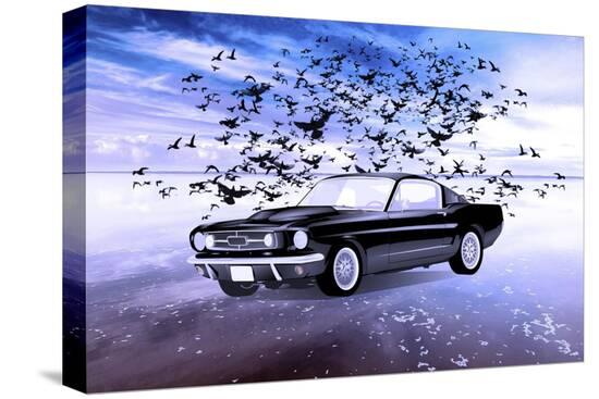 Stretched Canvas Print, , large