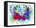 Framed Canvas
