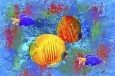 Fish Art 4-Ata Alishahi-Giclee Print