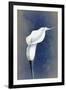 Gramercy Black