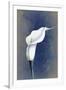 Gramercy White