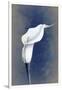 Gramercy White
