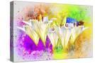 Stretched Canvas