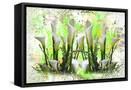 Canvas Black