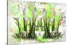 Stretched Canvas