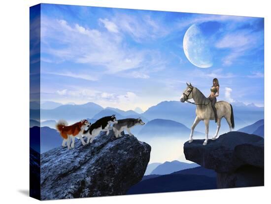 Stretched Canvas Print, , large