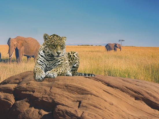 Giclee Print, , large