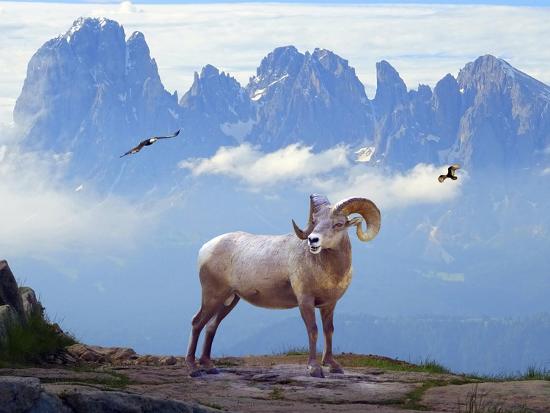 Giclee Print, , large