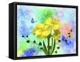 Framed Canvas