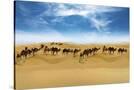 Stretched Canvas