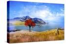 Stretched Canvas