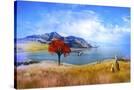 Stretched Canvas